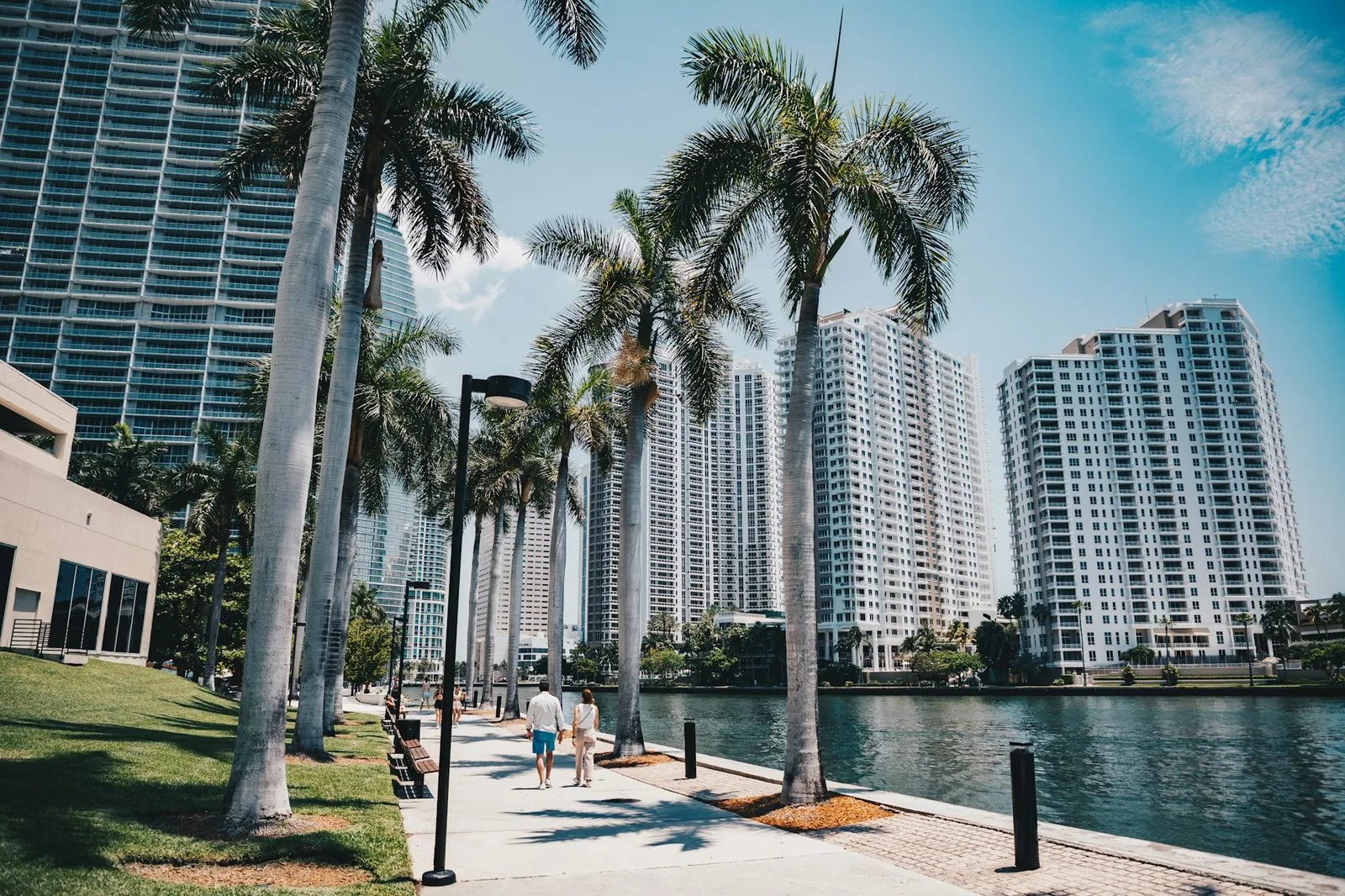Brickell riverwalk: royal palm trees line a waterfront path beside the Miami River, white high-rise condo towers on the far bank